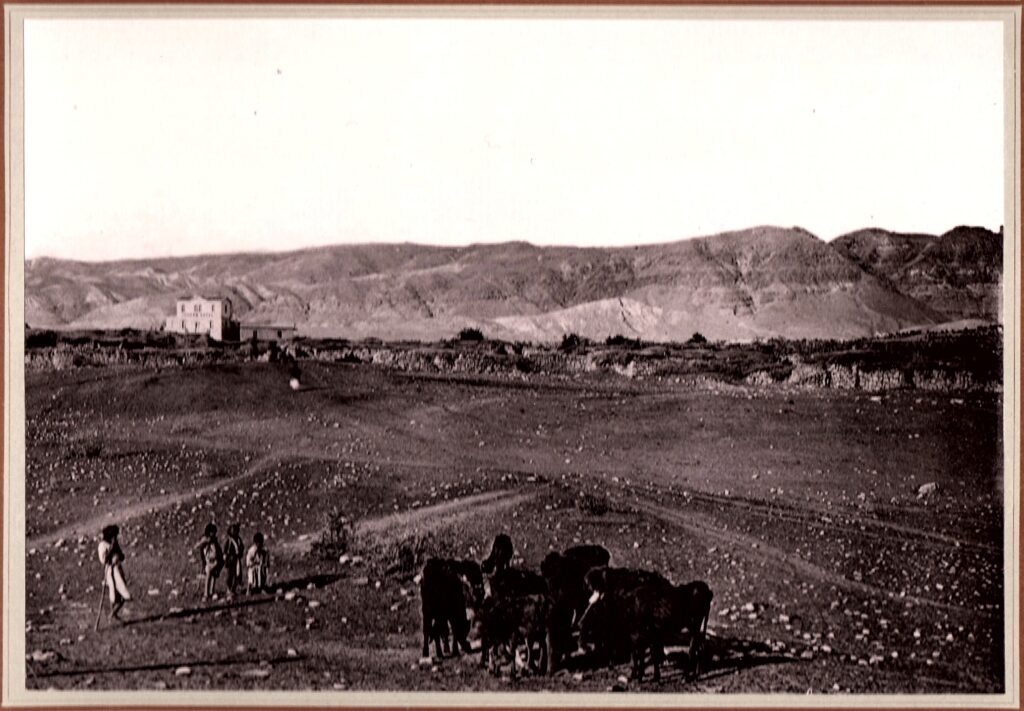 jericho refined