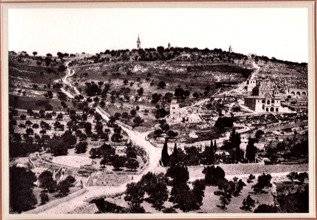 mount of olives refined